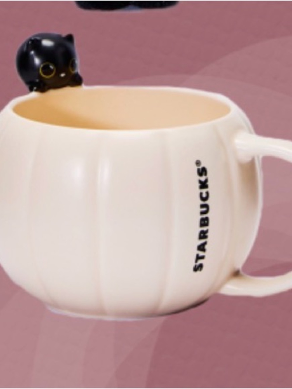 NWT Starbucks Halloween 2026 Fall release Pumpkin Mug with Black Cat